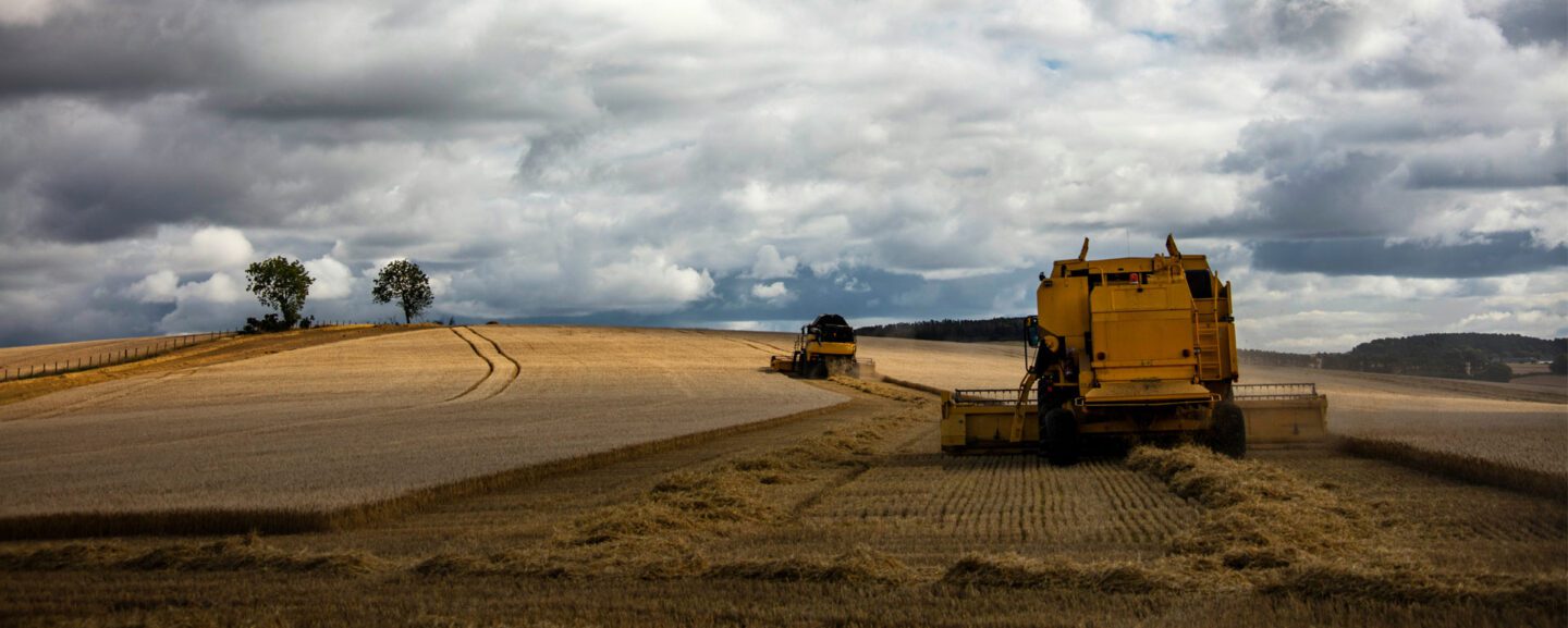 Agricultural Accountancy Services in Norfolk